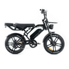 Fatbikes