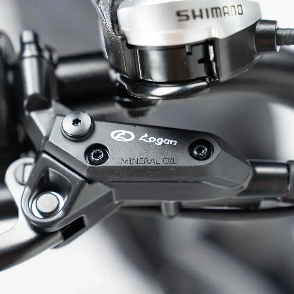 Fatbike V20 Pro 9.0 - Donkergrijs - Hydraulische Remmen